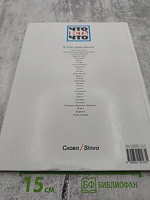 Мультимедиа и виртуальные миры