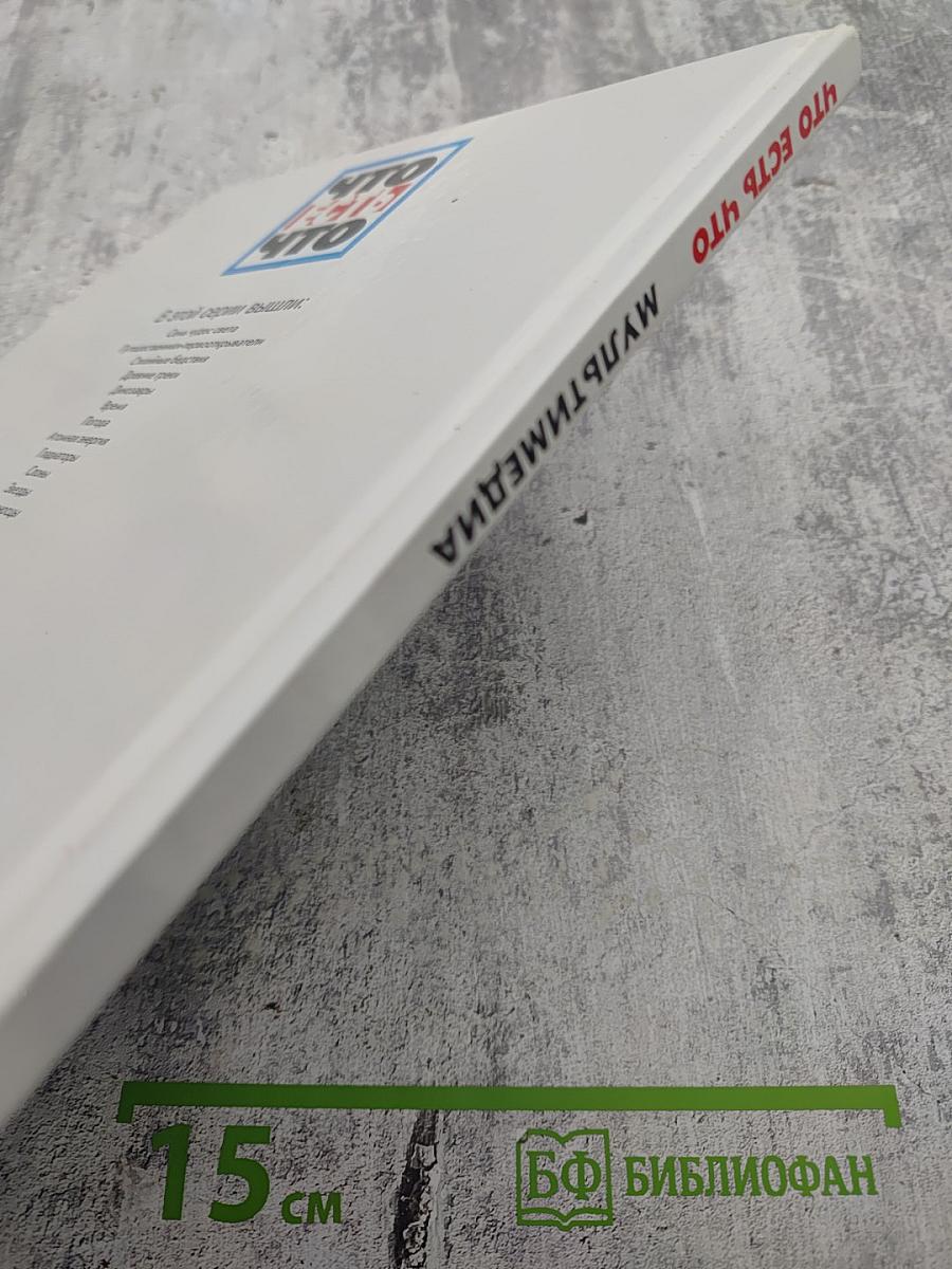 Мультимедиа и виртуальные миры