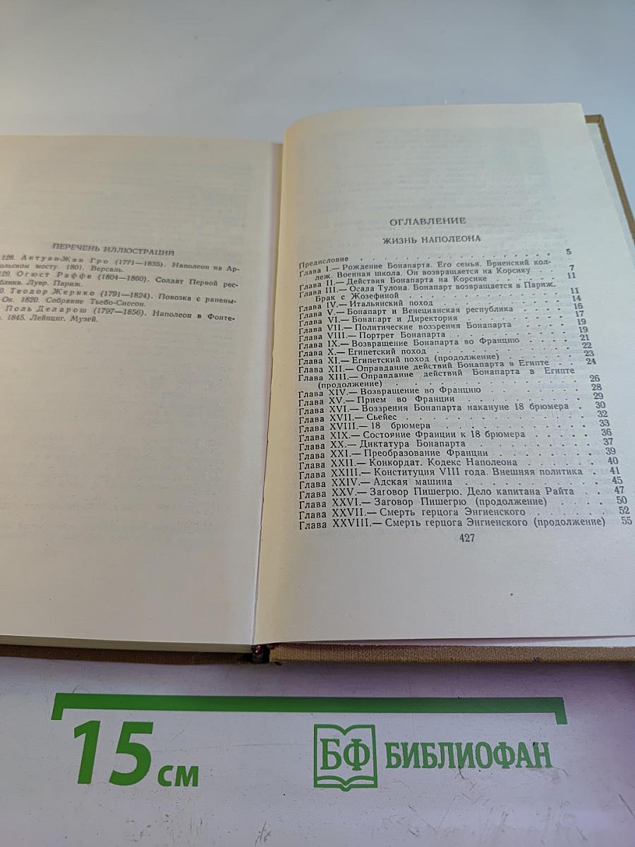 Собрание сочинений в пятнадцати томах. Том одиннадцатый: Жизнь Наполеона