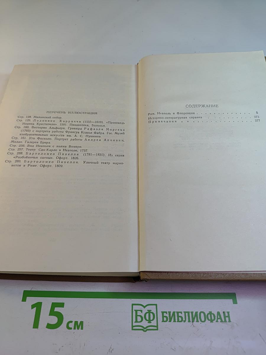 Собрание сочинений. Том 9: Рим, Неаполь и Флоренция