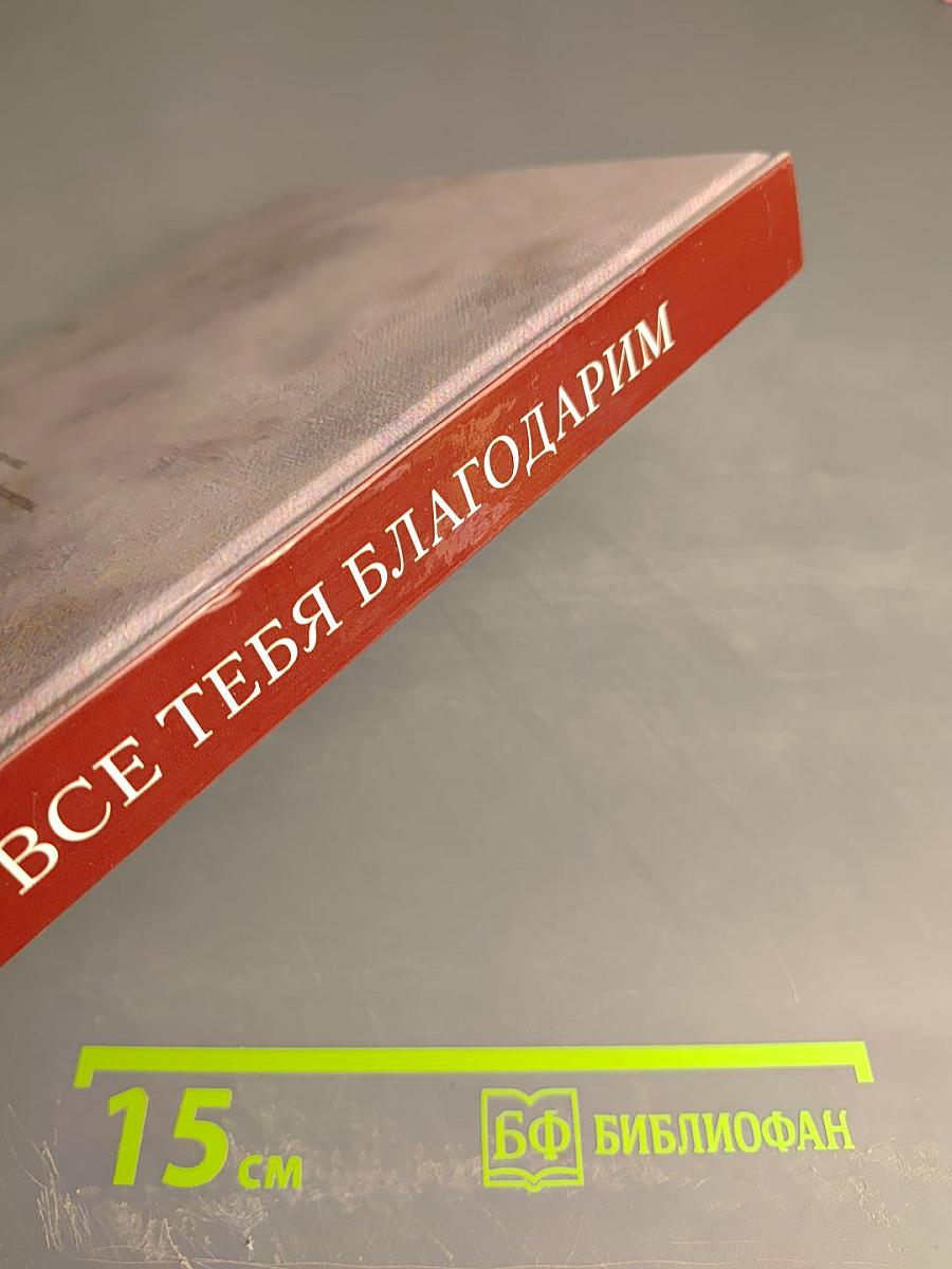 За всё тебя благодарим. Жизнь и судьба Владимира Любарского