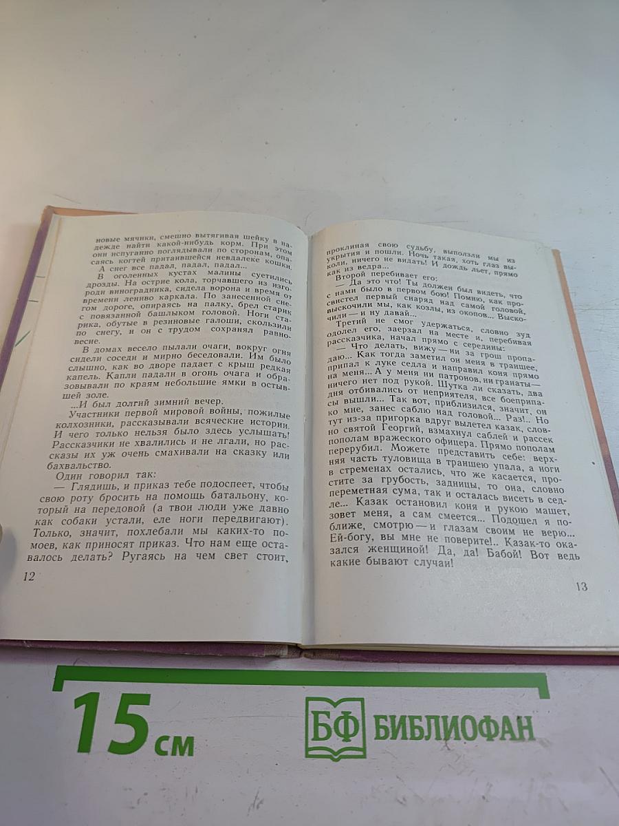 Неоконченная баллада