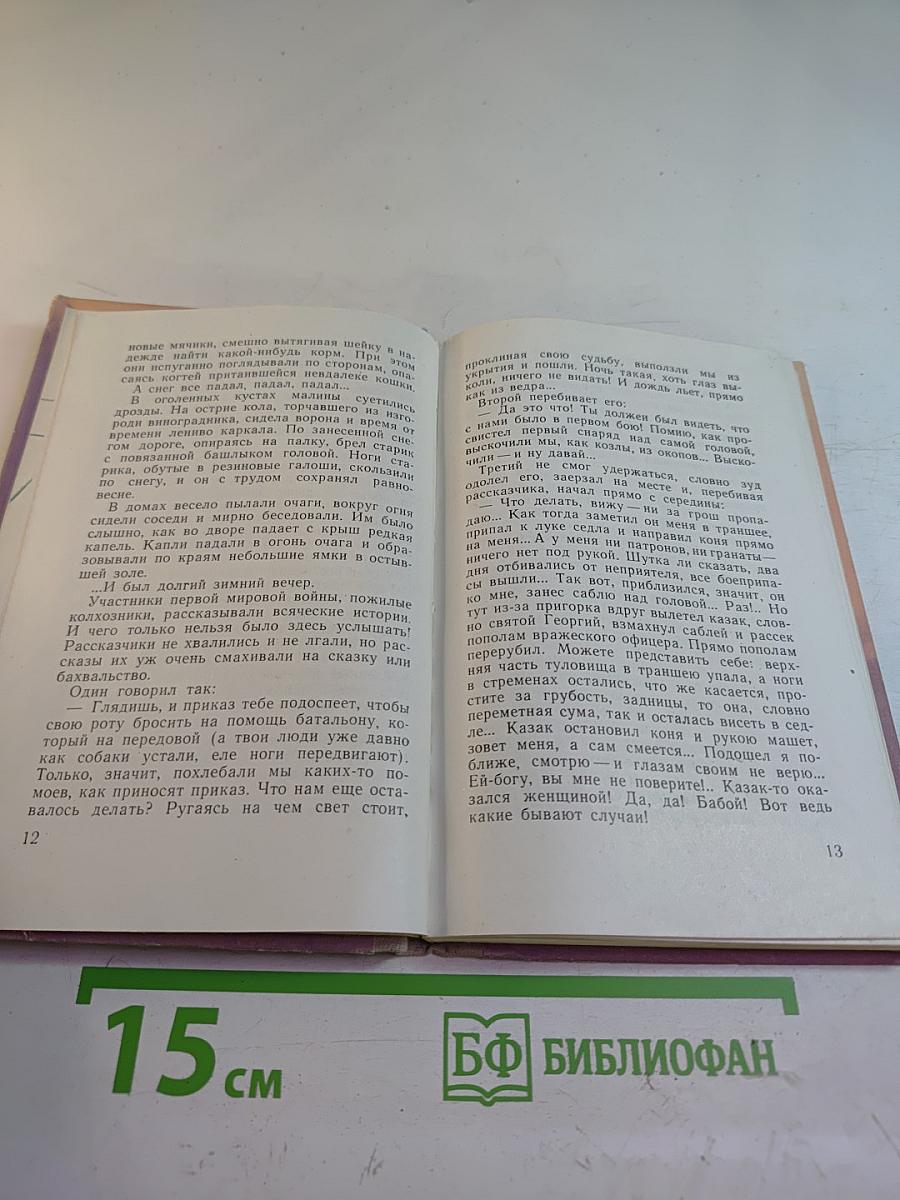 Неоконченная баллада