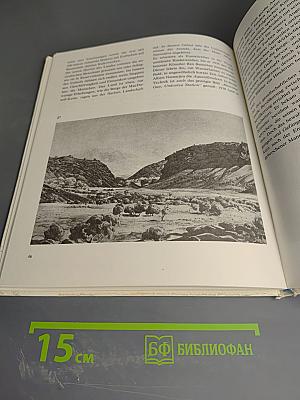 Wie Maler die Landschaft sehen