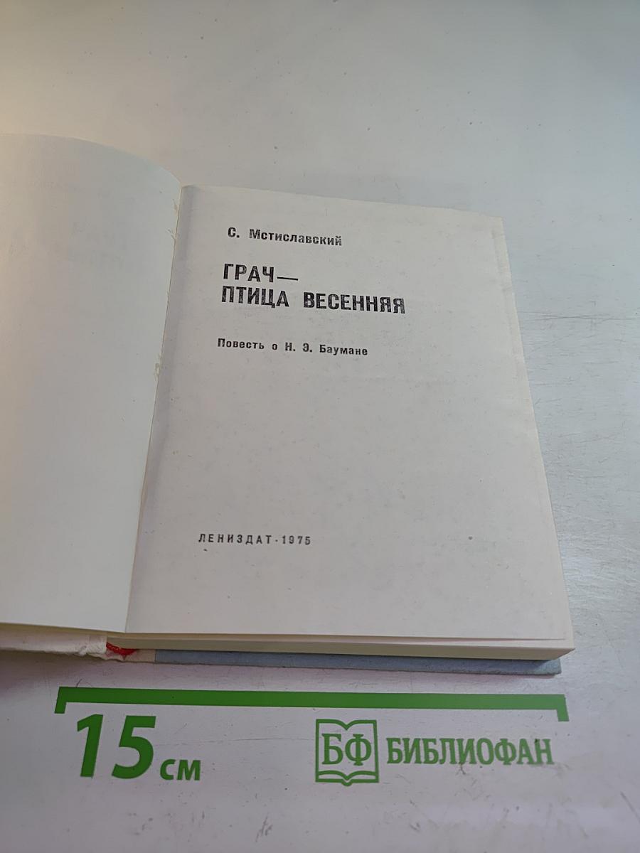 Грач — птица весенняя