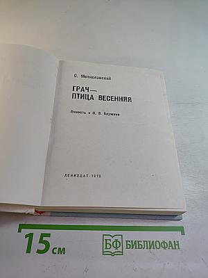 Грач — птица весенняя