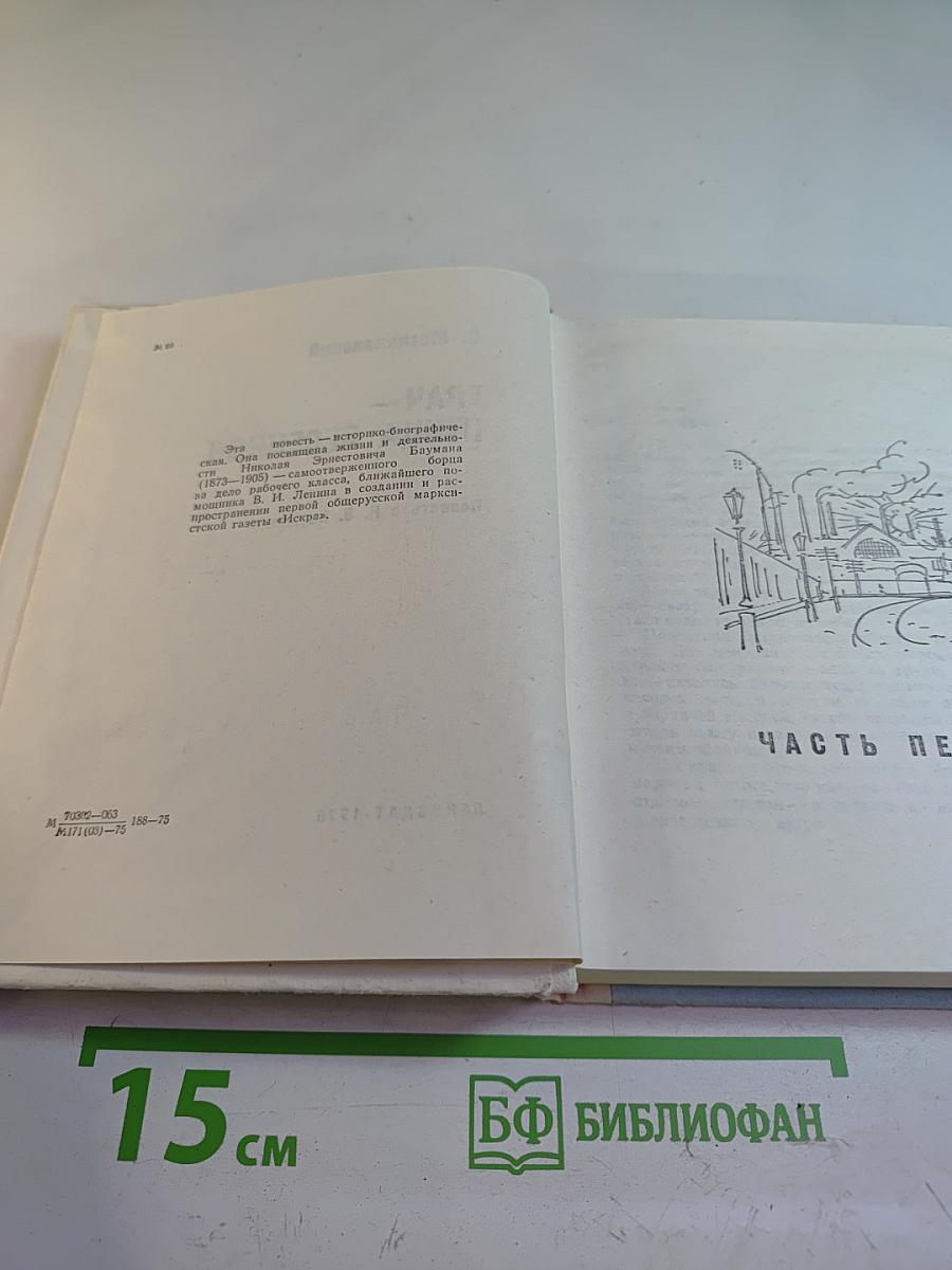 Грач — птица весенняя