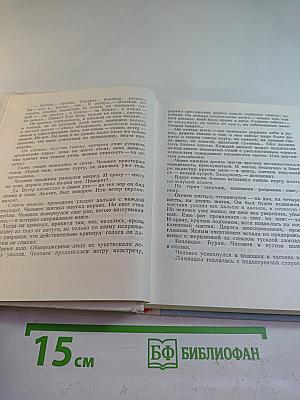 Грач — птица весенняя