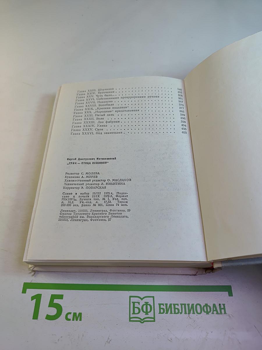 Грач — птица весенняя