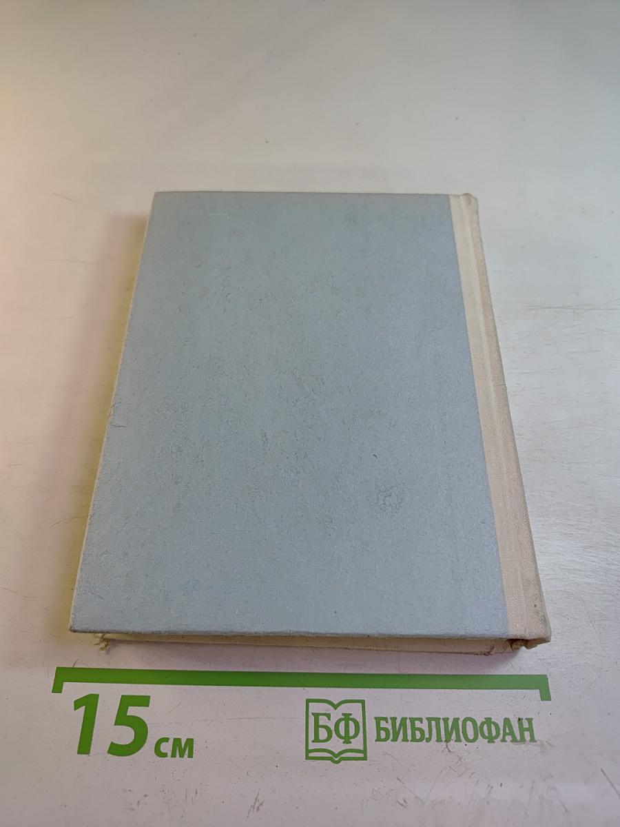 Грач — птица весенняя