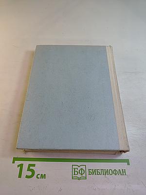 Грач — птица весенняя