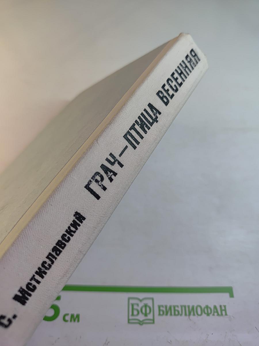 Грач — птица весенняя