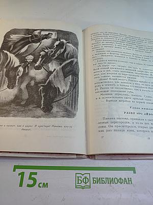 Самый красивый конь