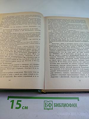 Графиня Рудольштадт