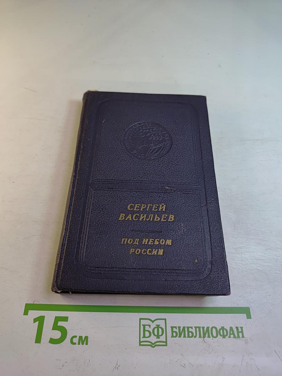 Под небом России. Стихи и поэмы