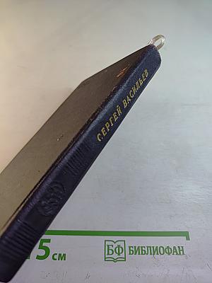 Под небом России. Стихи и поэмы