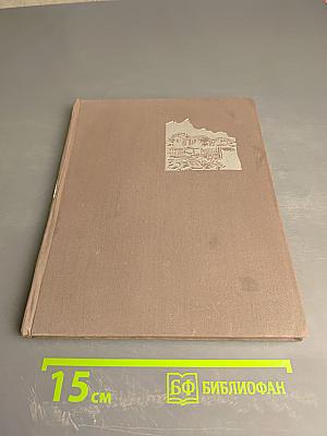 След человеческий