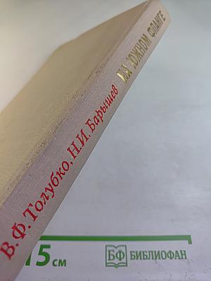 На южном фланге