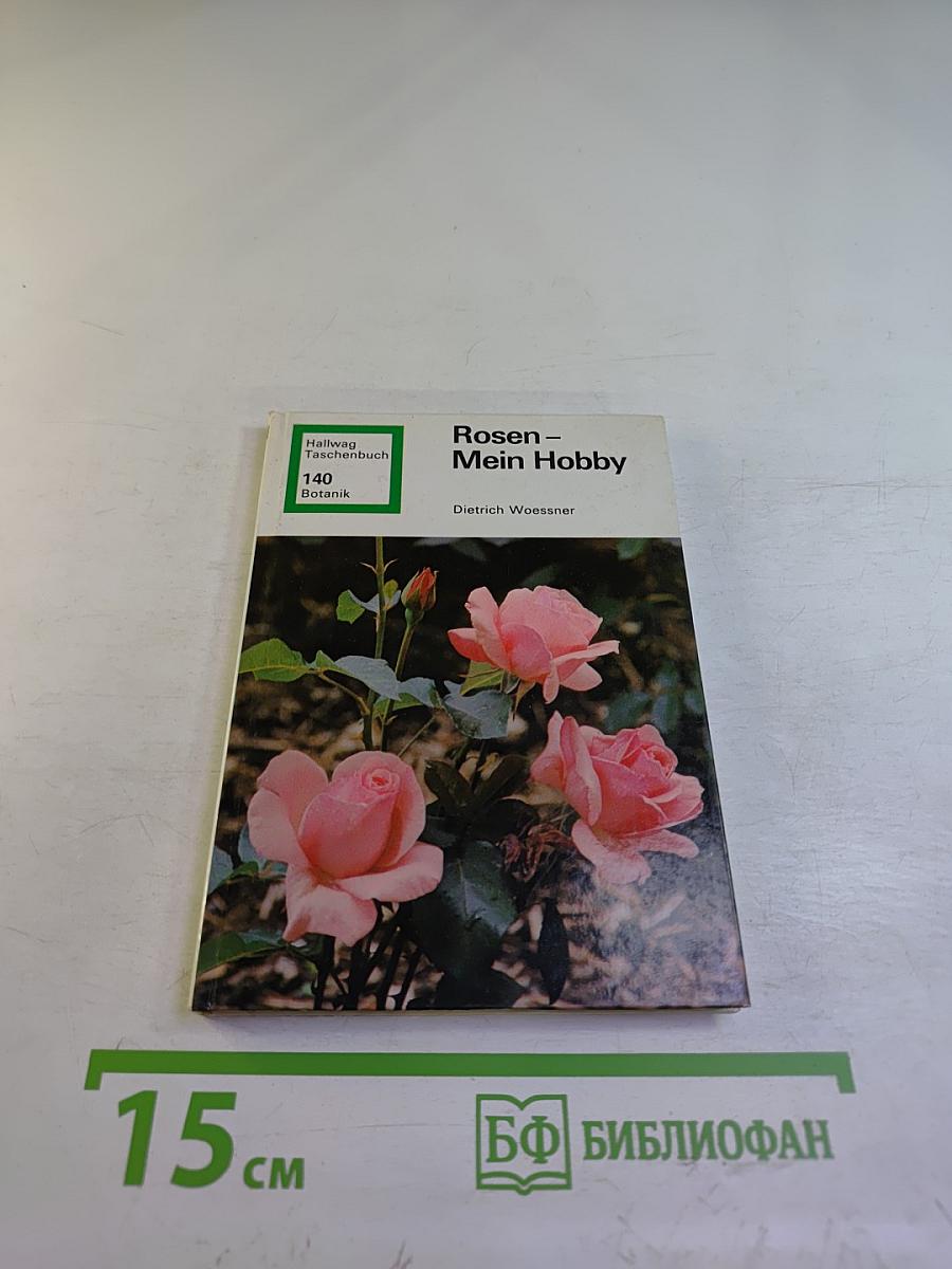 Rosen – Mein Hobby