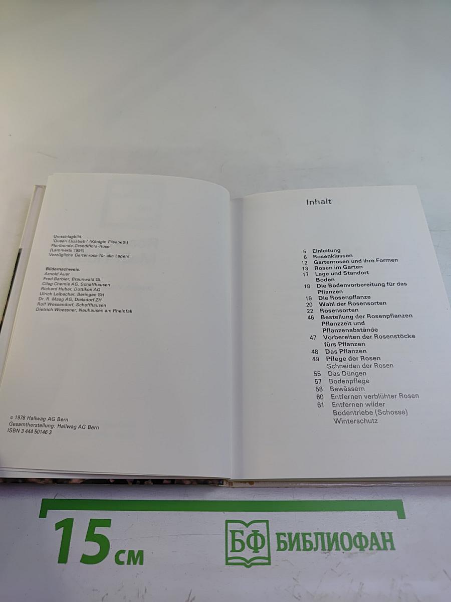 Rosen – Mein Hobby