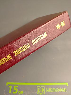 Золотые звезды Полесья