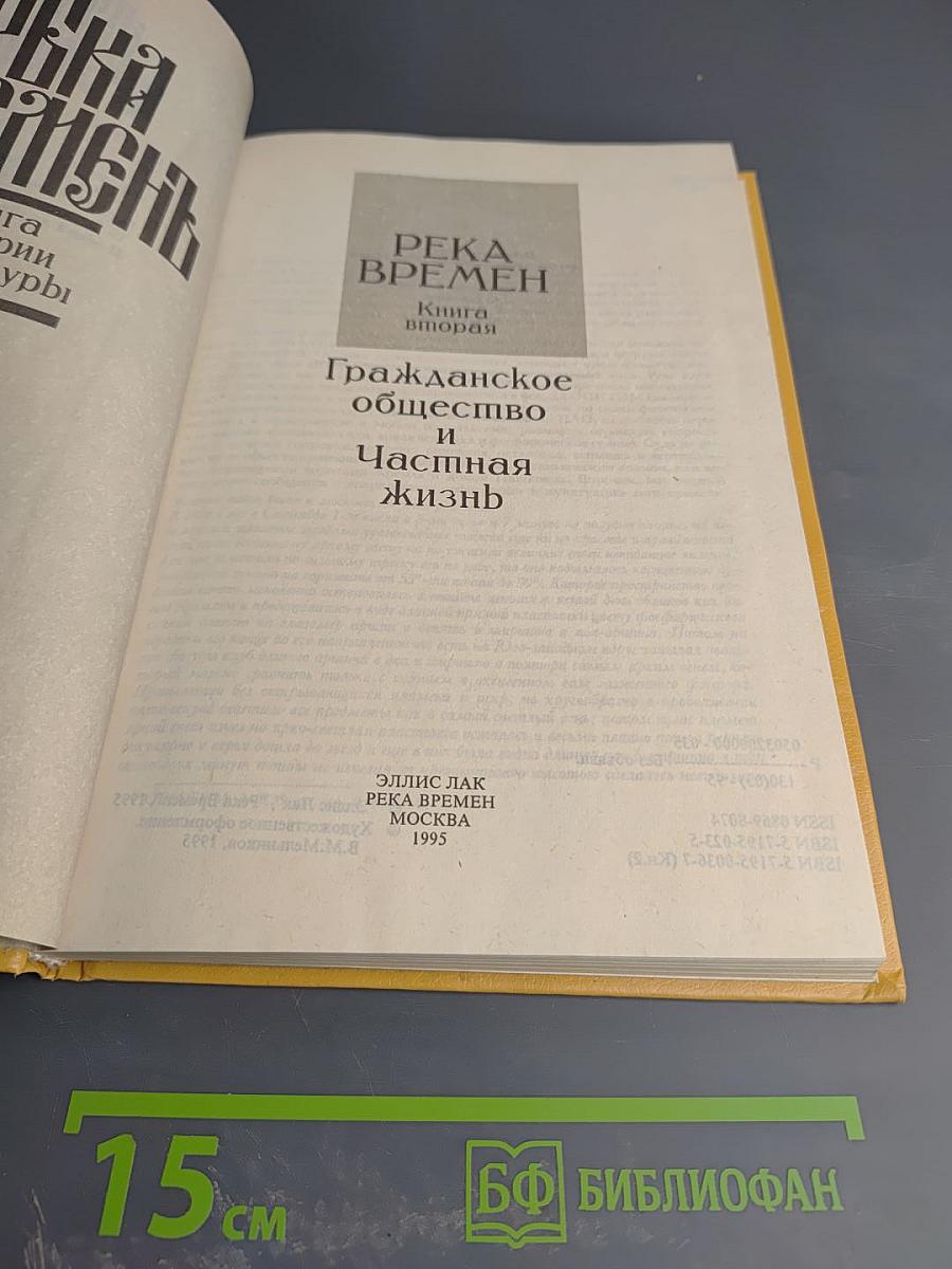 Река Временъ. Книга истории и культуры. Книга вторая. Гражданское общество и Частная жизнь