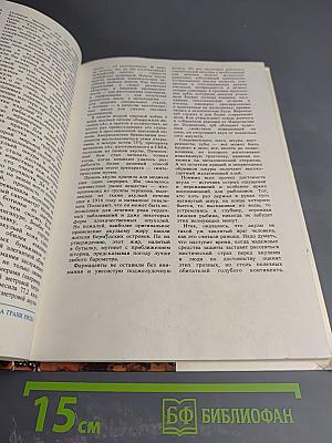 На грани риска