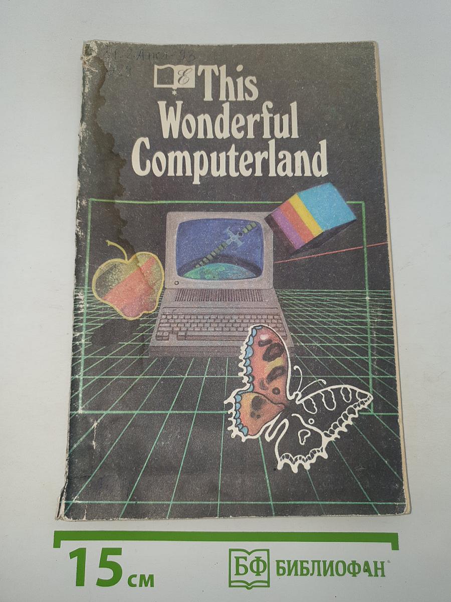 This Wonderful Computerland