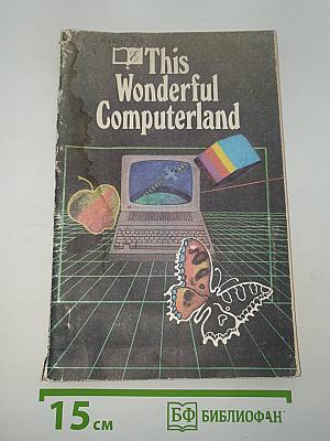 This Wonderful Computerland