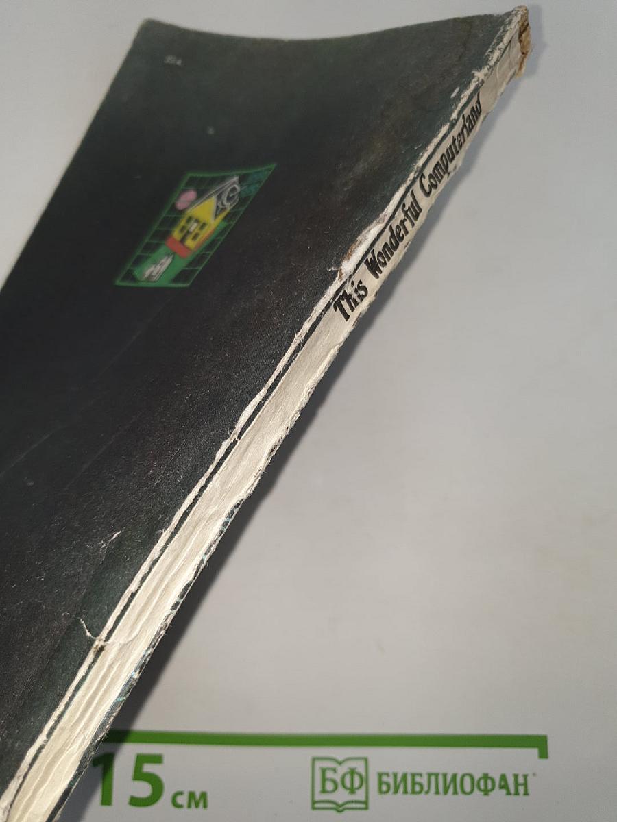 This Wonderful Computerland