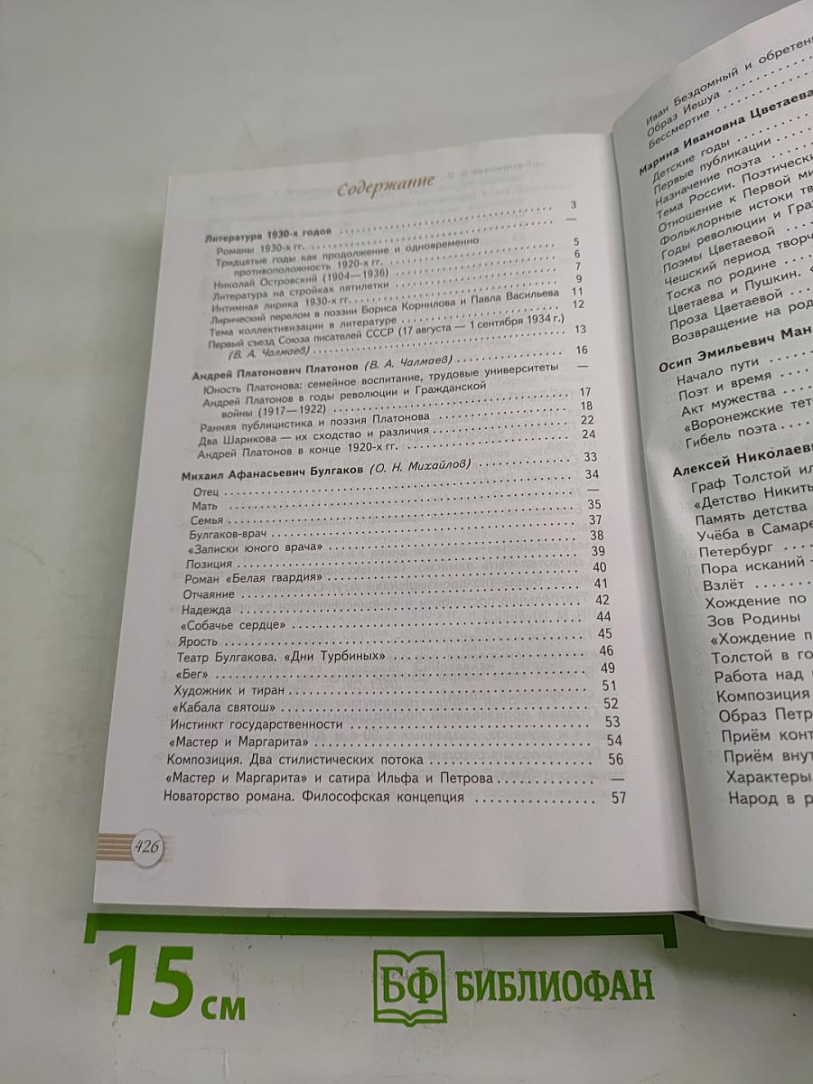 Русский язык и Литература. Литература. 11 класс, Базовый уровень, 2 часть