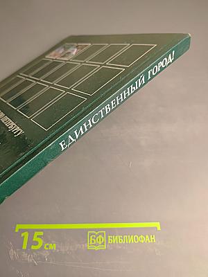 Единственный город! Путешествие по Петербургу с Аликом и Гусариком