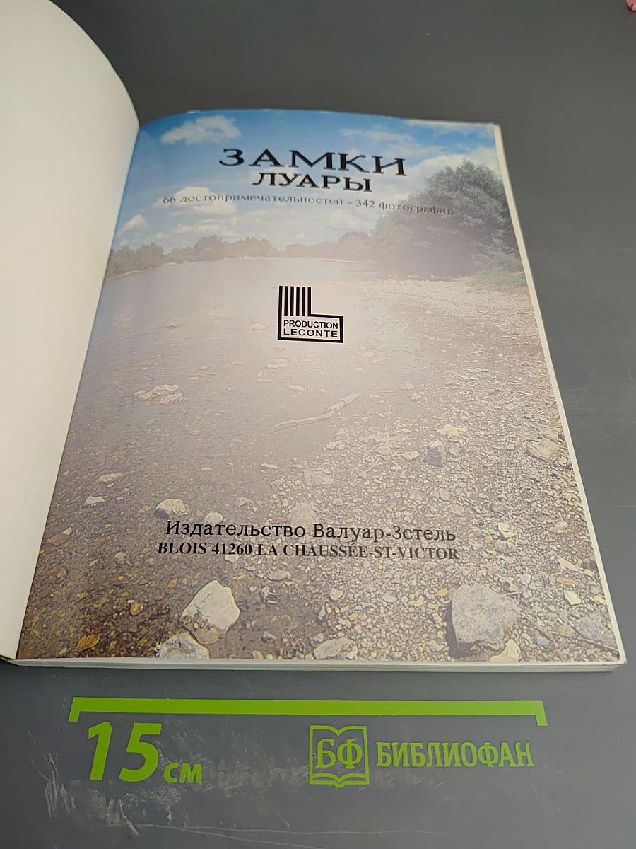 Замки Луары