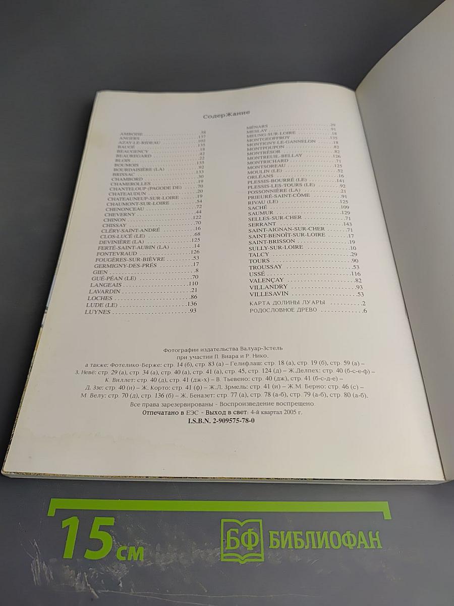 Замки Луары