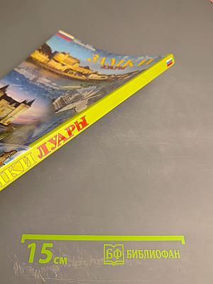 Замки Луары