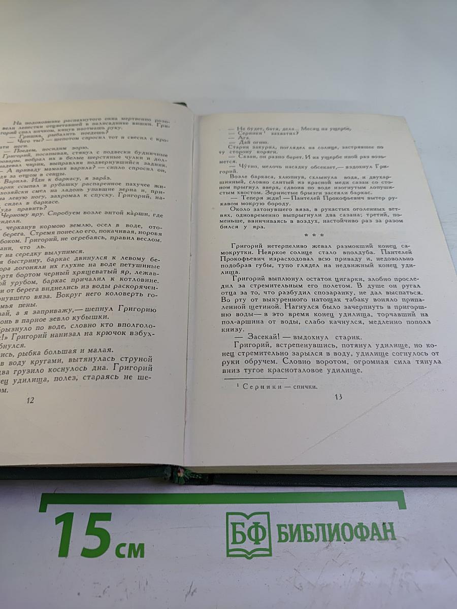 Тихий Дон. Книга первая. Том 2