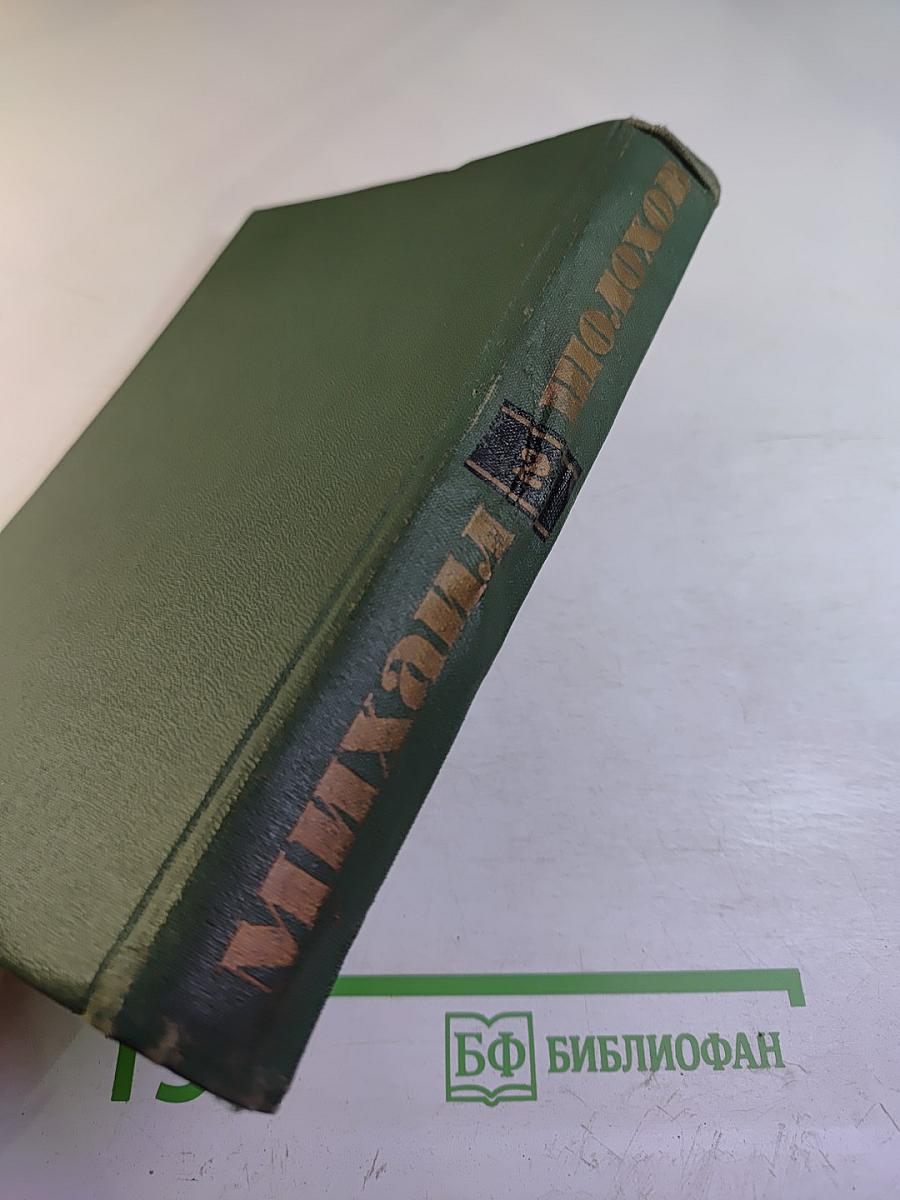 Тихий Дон. Книга первая. Том 2