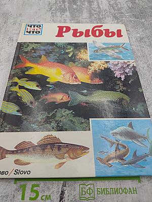 Рыбы