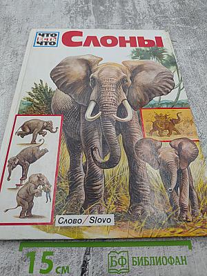 Слоны