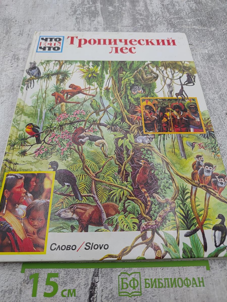 Тропический лес