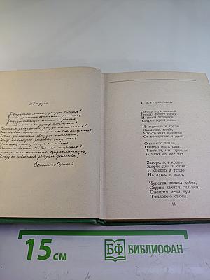 Собрание сочинений. Том IV: Стихотворения, не вошедшие в основное собрание