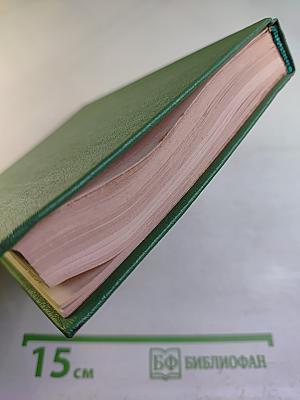 Собрание сочинений. Том IV: Стихотворения, не вошедшие в основное собрание