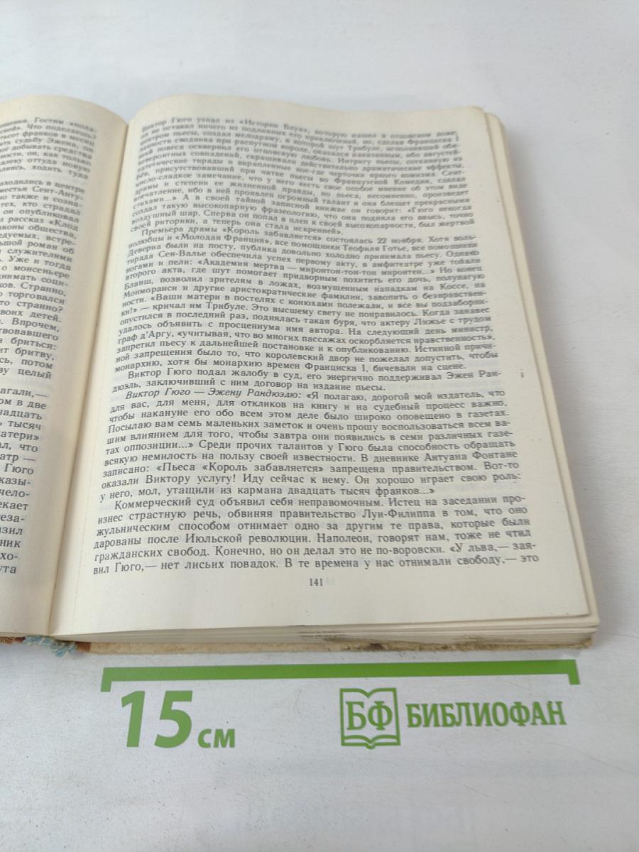 Олимпио или Жизнь Виктора Гюго Литературные портреты