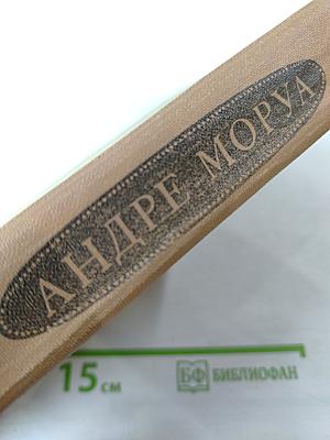 Олимпио или Жизнь Виктора Гюго Литературные портреты