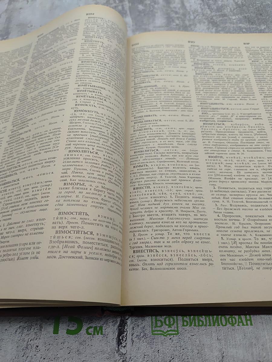 Словарь русского языка. Том I А-Й