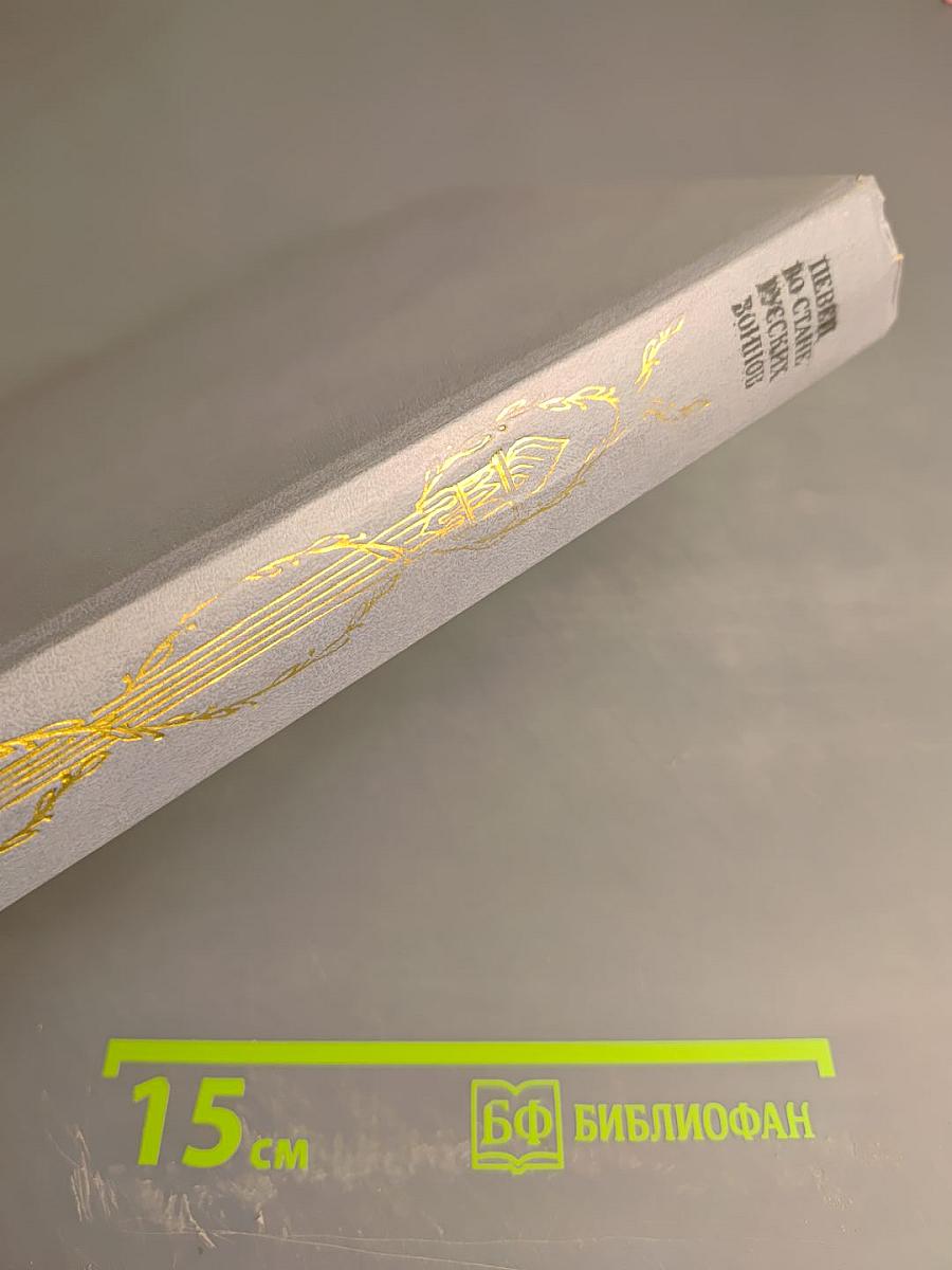 Певец во стане русских воинов