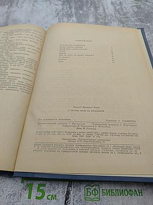 Усвятские шлемоносцы