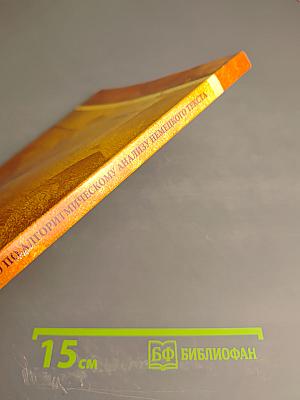 Руководство по алгоритмическому анализу немецкого текста ("Путеводитель" по тексту)