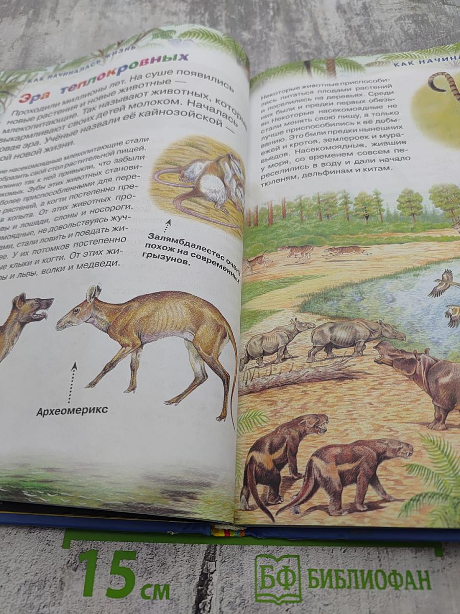 Новая энциклопедия для любознательных