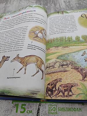 Новая энциклопедия для любознательных